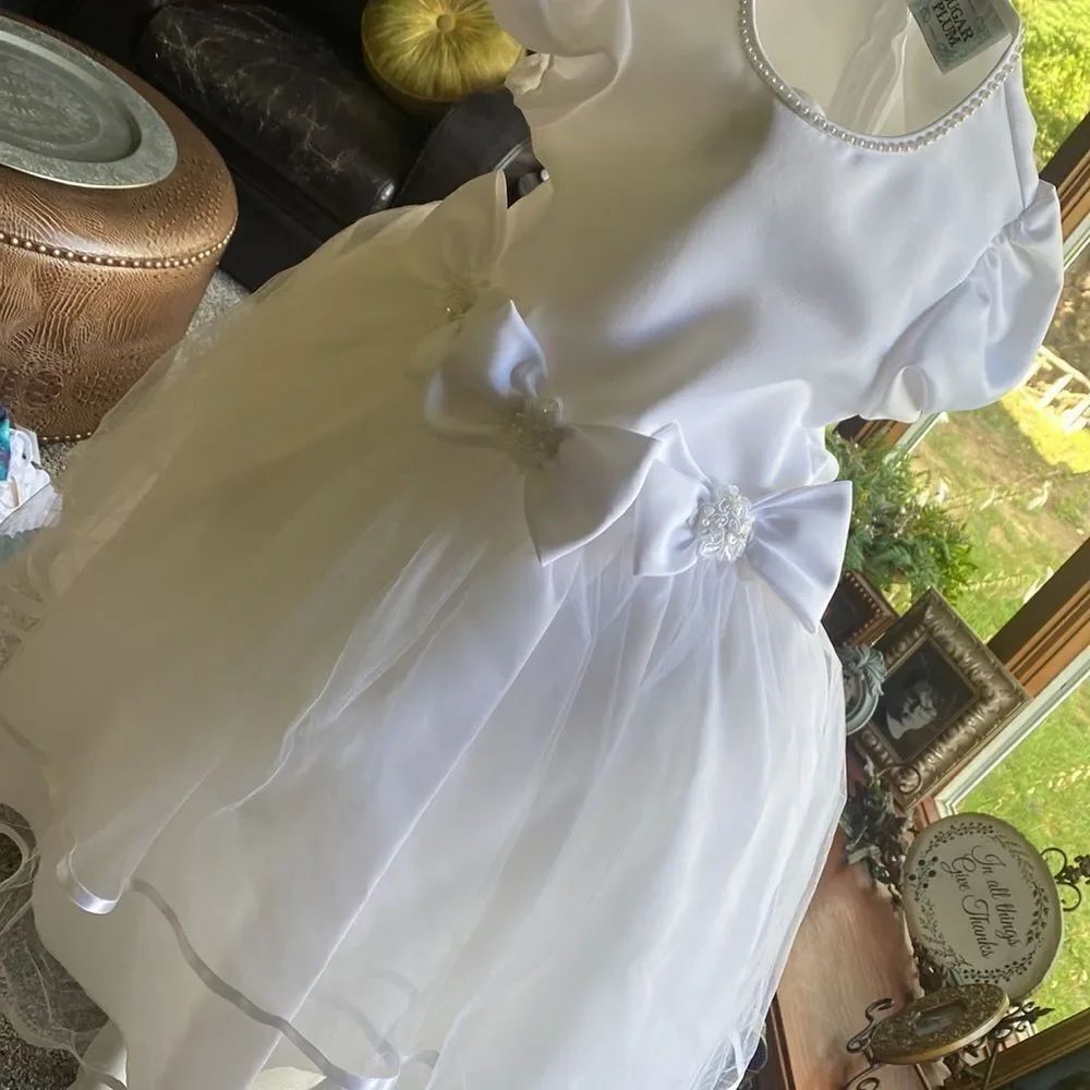 Sugar Plum Jr Bride Flower Girl Dress with Veil White Pearl Girls